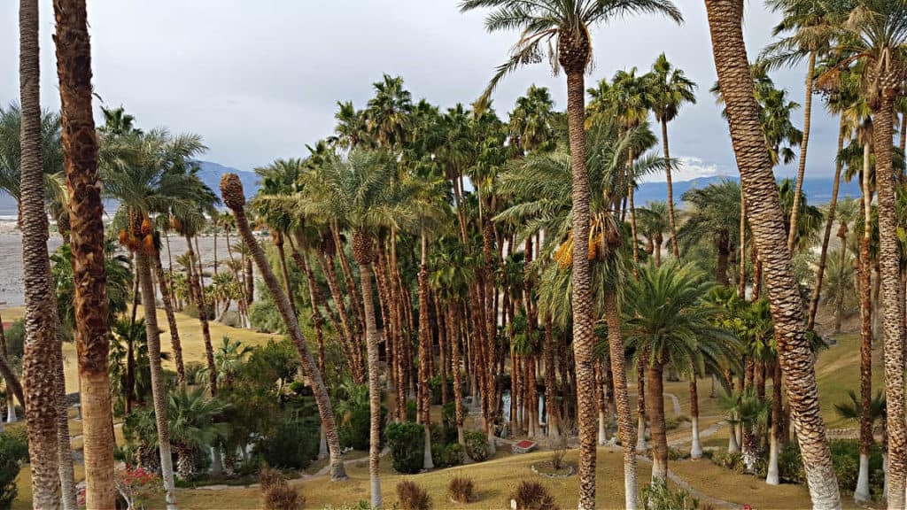 Grounds at the inn at Death Valley