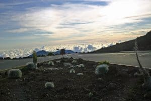 Planning a trip to Maui? Check out our Haleakala National Park Travel Tips for information on reservations, camping, lodging, what to do and more! #haleakala #maui #nationalpark #sunrise