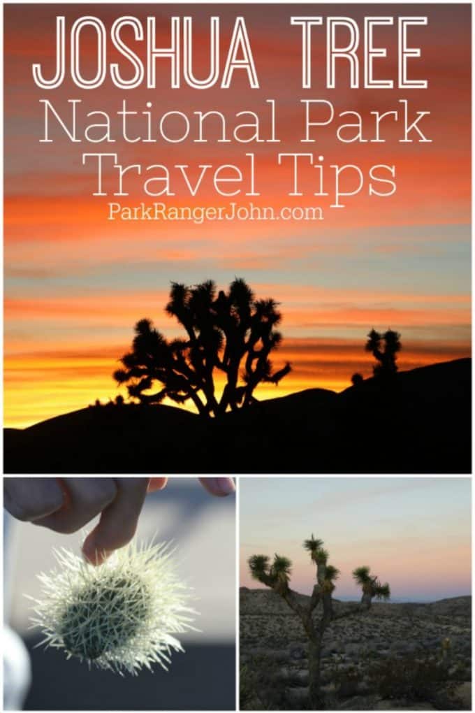 Joshua Tree National Park Travel Tips Park Ranger John