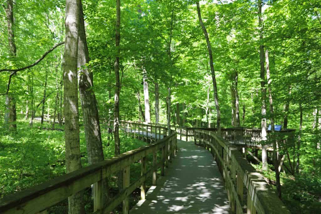 Mammoth Cave National Park Travel Tips | Park Ranger John