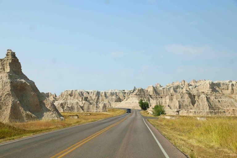 Things to do Custer State Park | Park Ranger John