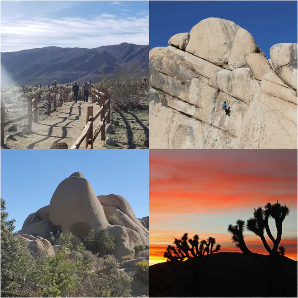 Things to do in Joshua Tree National Park including hiking rapelling watching sunset and skull rock