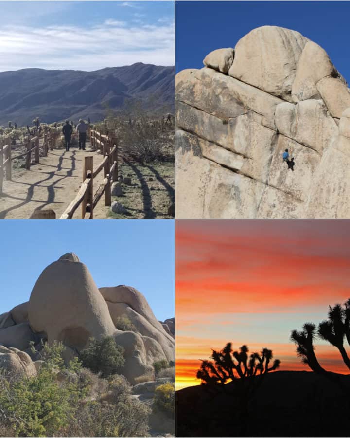 Things to do in Joshua Tree National Park including hiking rapelling watching sunset and skull rock