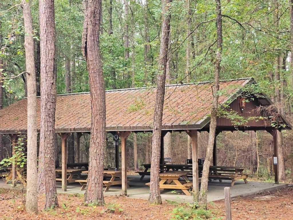 Picnic Shelter at Congaree National Park