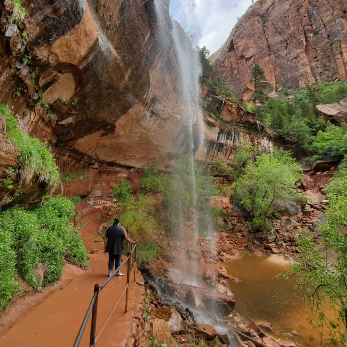 Things to do in Zion National Park