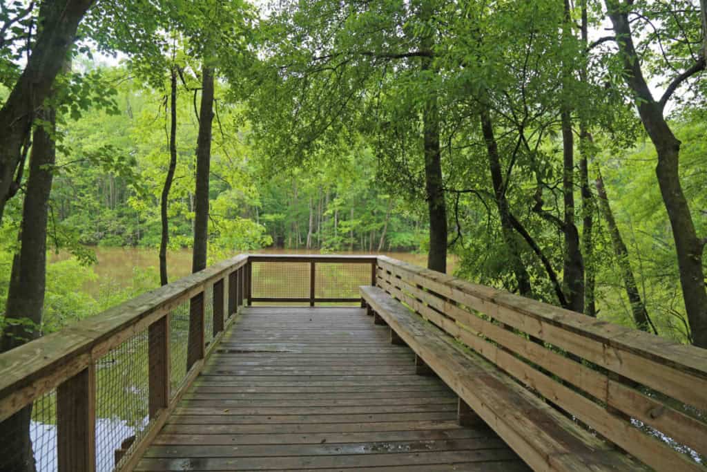 Weston Lake at boardwalk at Congaree National Park