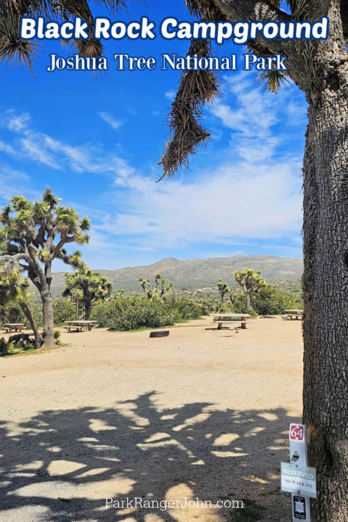 Photo of as campsite in Black Rock Campground with text saying "Black Rock Campground Joshua Tree National Paek by ParkRangerJohn.com"