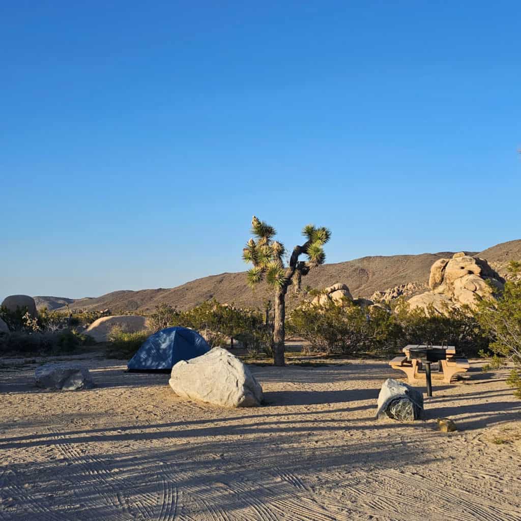 Camping at Belle Campground JTNP California