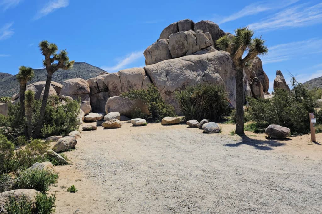 Campsite 1 Ryan Campground Joshua Tree National Park