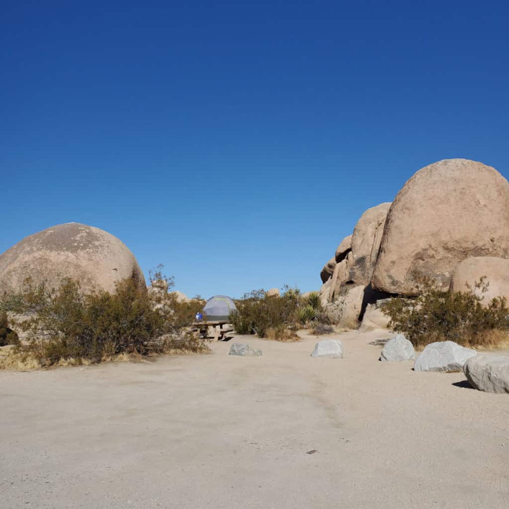 Campsite 1 White Tank Campground in Joshua Tree National Park