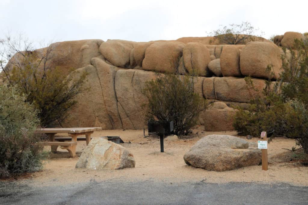 Campsite 111 Jumbo Rocks Campground Joshua Tree National Park