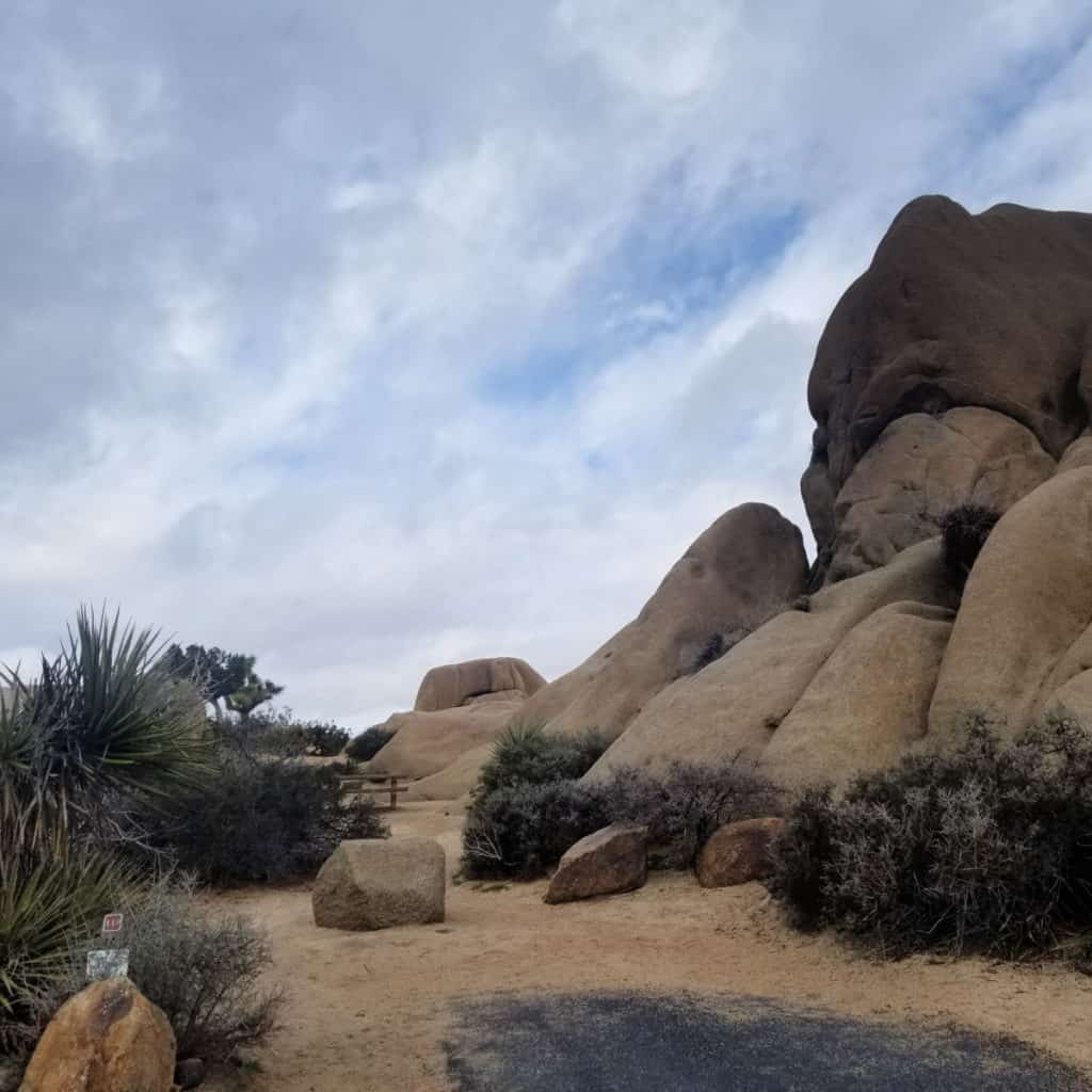 Campsite 119 Jumbo Rocks Campground Joshua Tree National Park