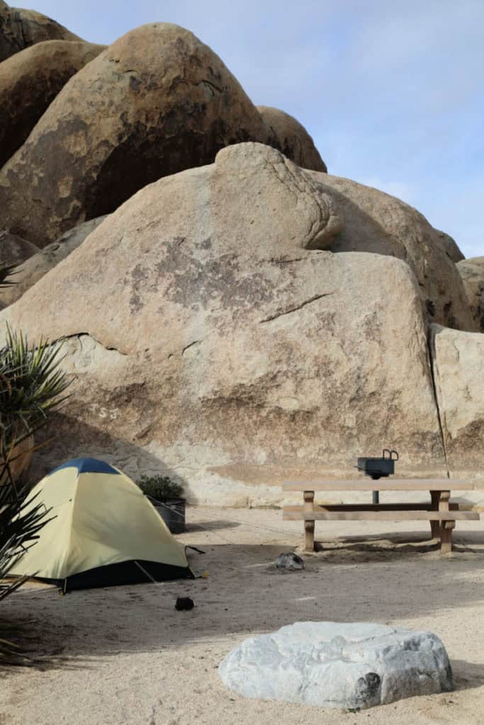 Campsite 12 Belle Campground Joshua Tree National Park