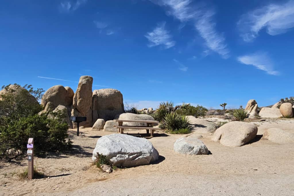 Campsite 12 White Tank Campground in Joshua Tree National Park