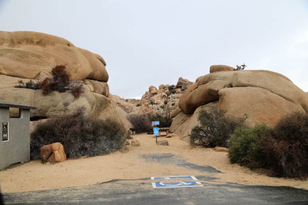 Campsite 122 Jumbo Rocks Campground Joshua Tree National Park