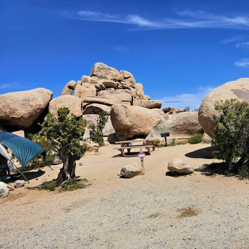 Campsite 13 Ryan Campground Joshua Tree National Park CA