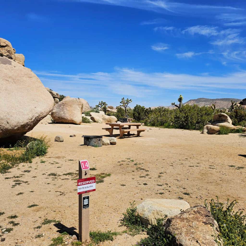 Campsite 14 Ryan Campground Joshua Tree National Park