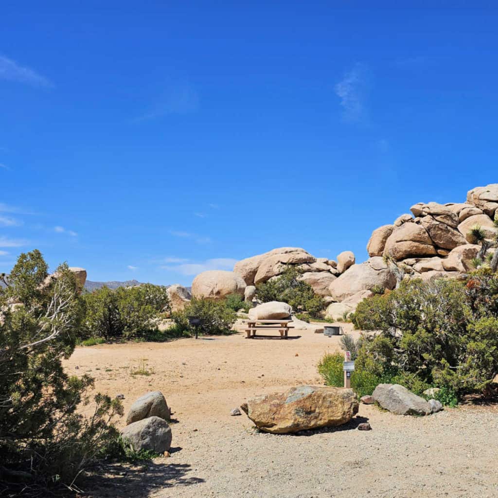 Campsite 15 Ryan Campground Joshua Tree National Park