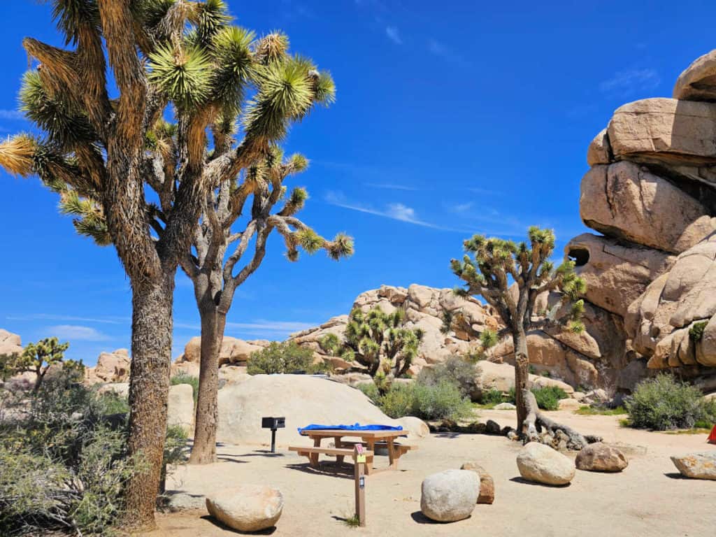 Campsite 2 Hidden Valley Campground Joshua Tree National Park