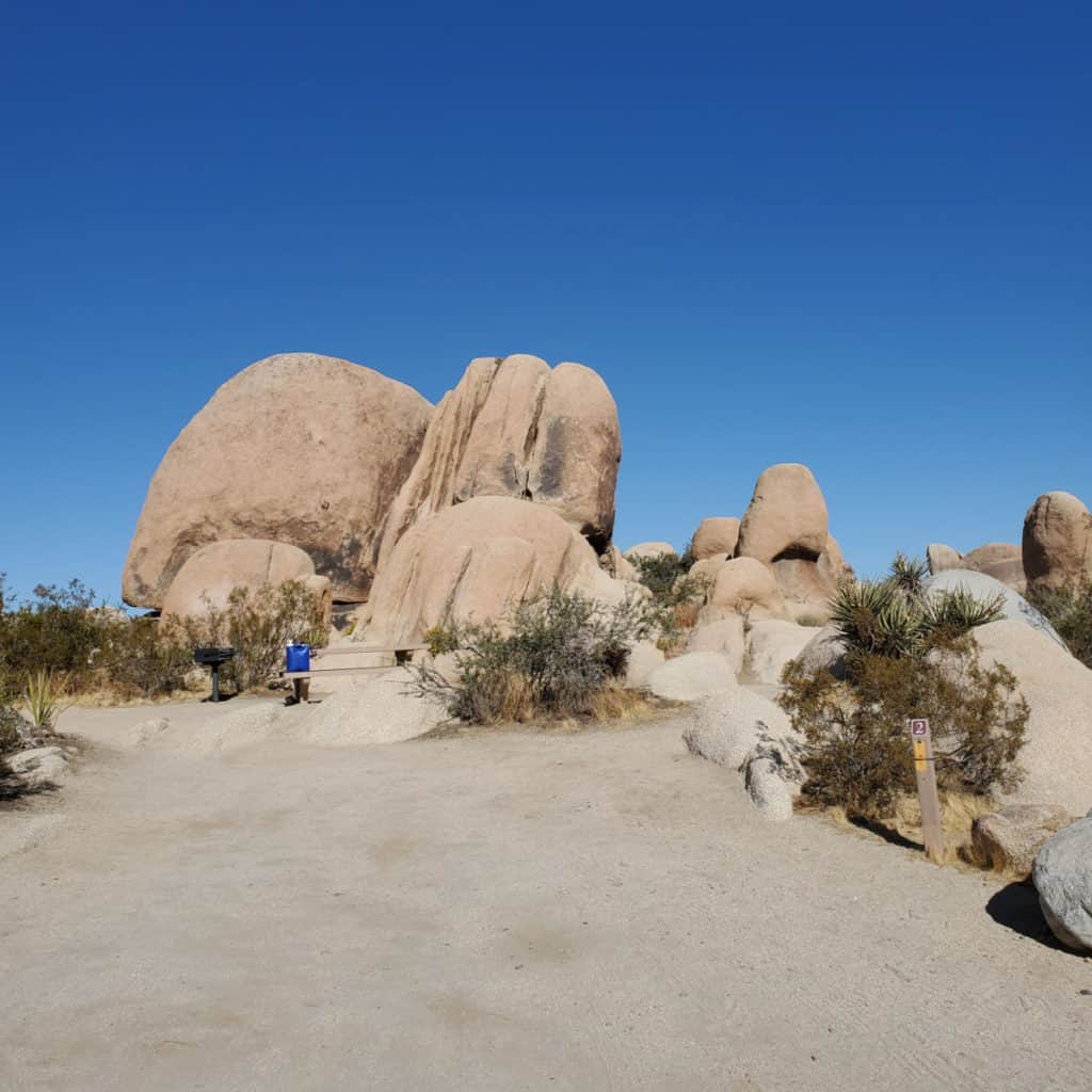 Campsite 2 White Tank Campground in Joshua Tree National Park