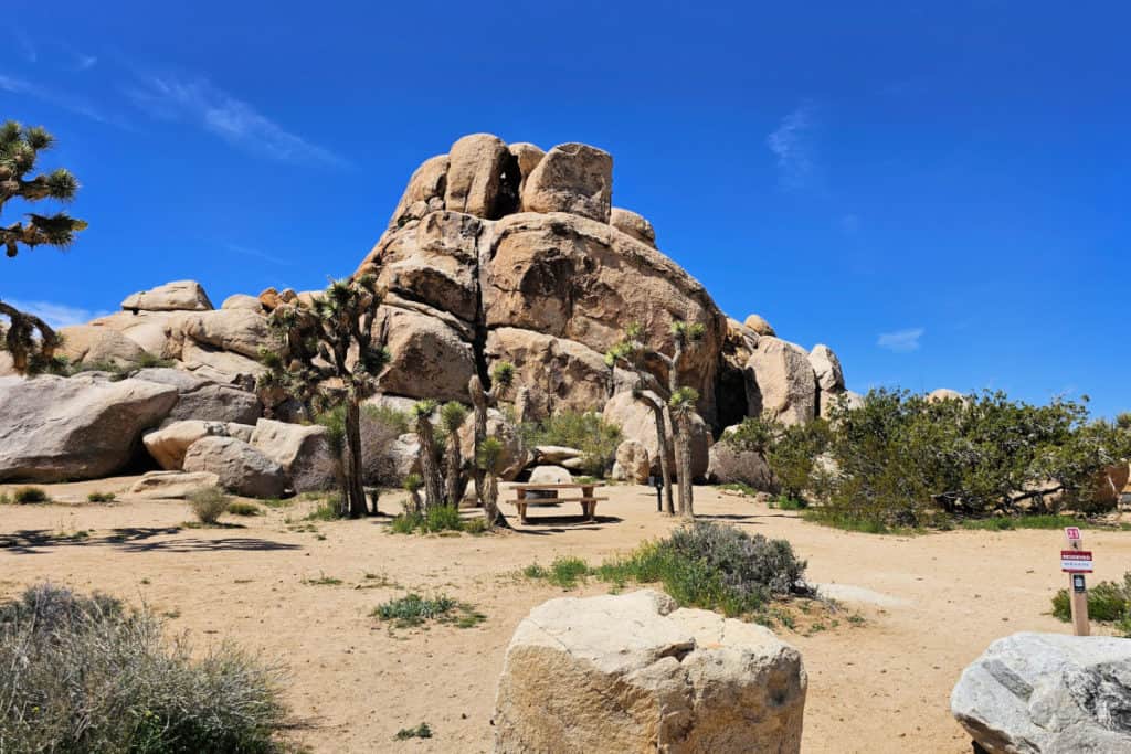 Campsite 21 Ryan Campground Joshua Tree National Park