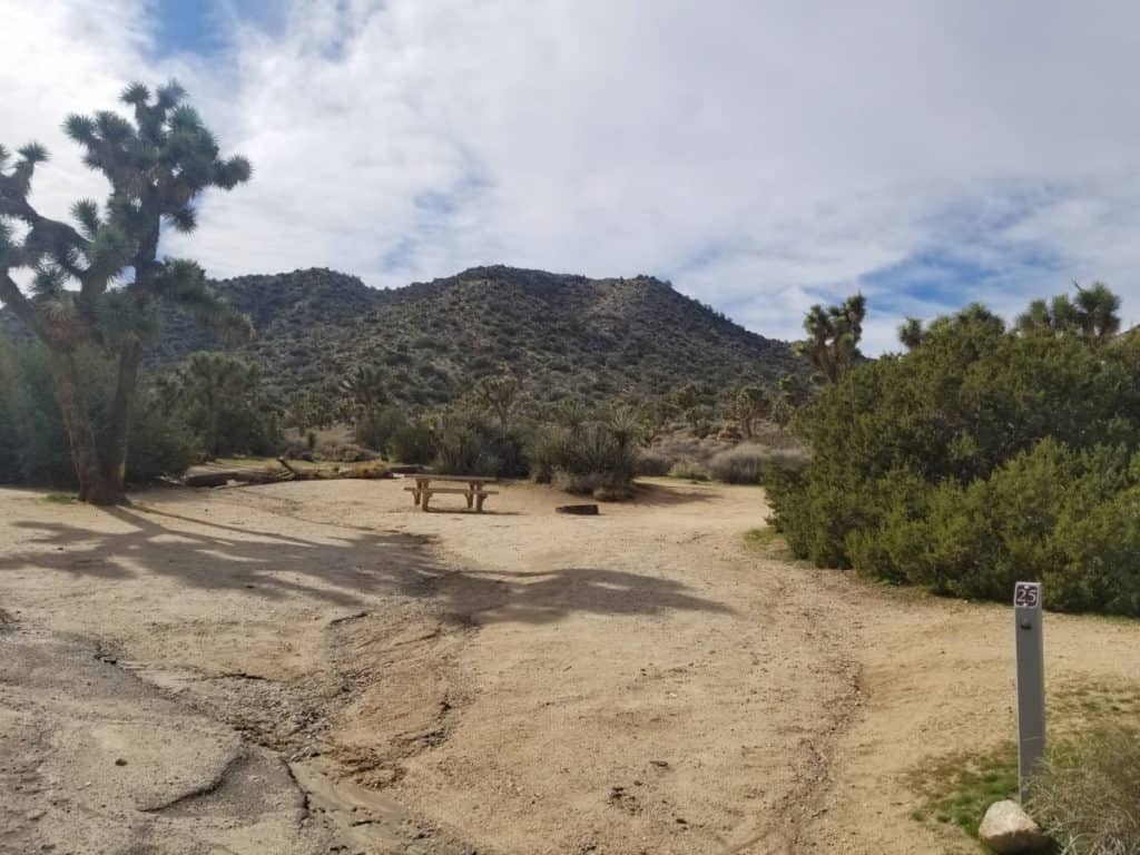 Campsite 25 Black Rock Campground Joshua Tree National Park