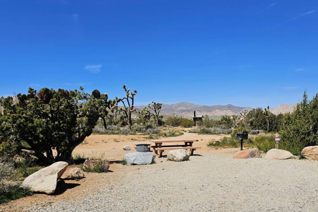 Campsite 25 Ryan Campground Joshua Tree National Park