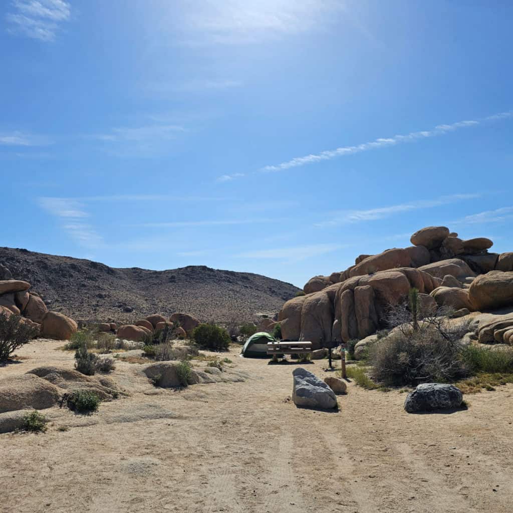 Campsite 3 White Tank Campground in Joshua Tree National Park