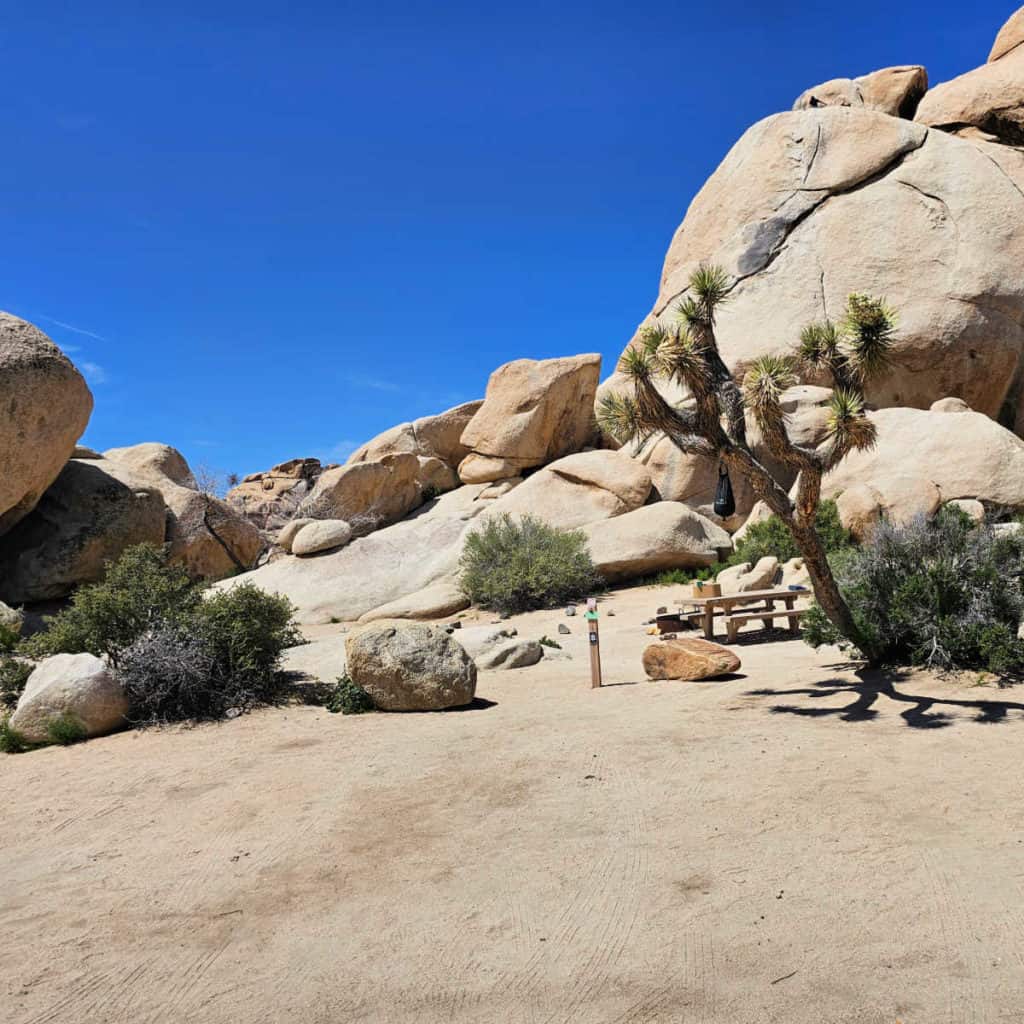 Campsite 30 Hidden Valley Campground Joshua Tree National Park