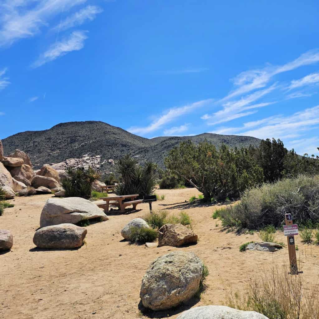 Campsite 4 Ryan Campground Joshua Tree National Park