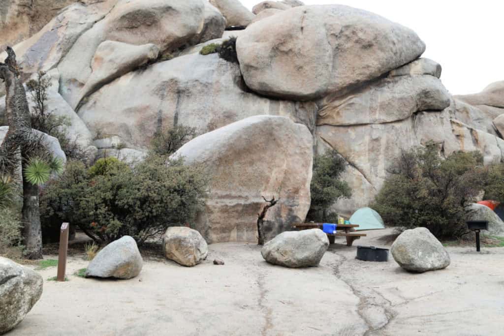 Campsite 41 Hidden Valley Campground Joshua Tree National Park