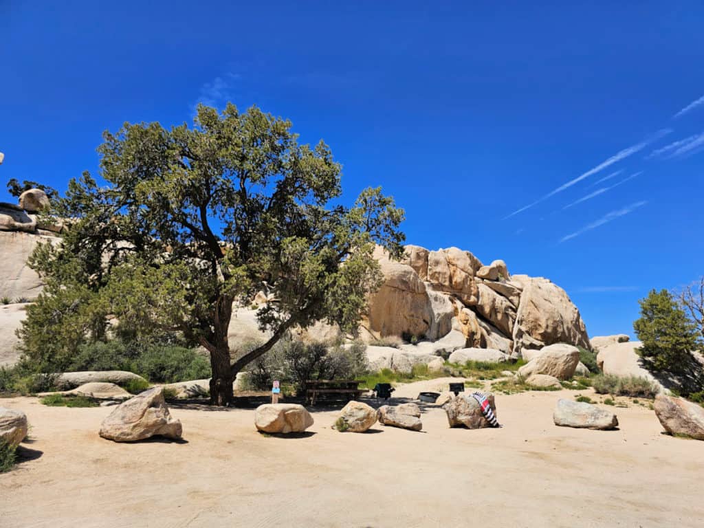 Campsite 45 Hidden Valley Campground Joshua Tree National Park