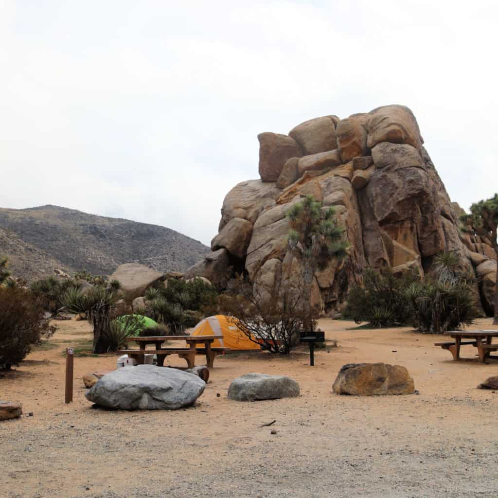 Campsite 6 Ryan Campground Joshua Tree National Park CA