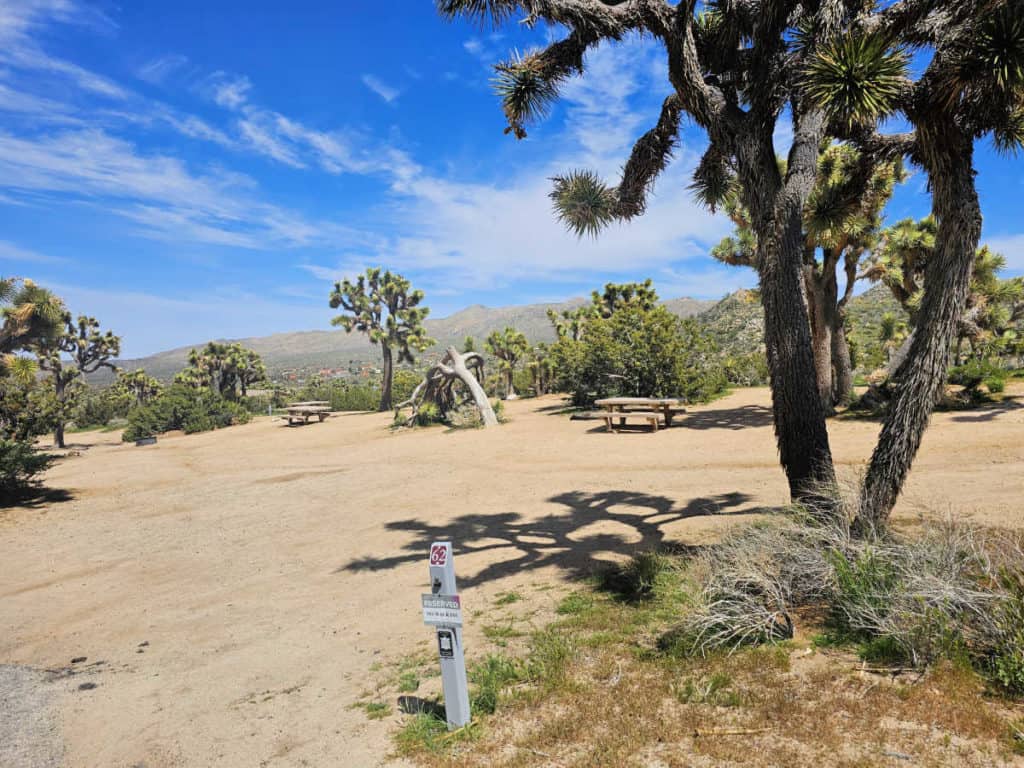 Campsite 62 Black Rock Campground Joshua Tree National Park