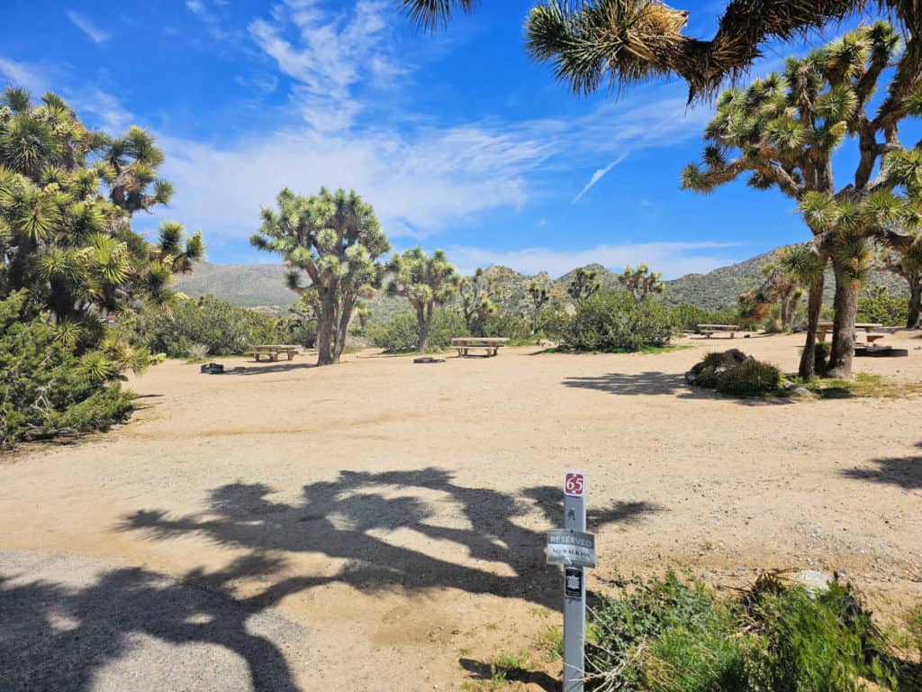 Campsite 65 Black Rock Campground Joshua Tree National Park