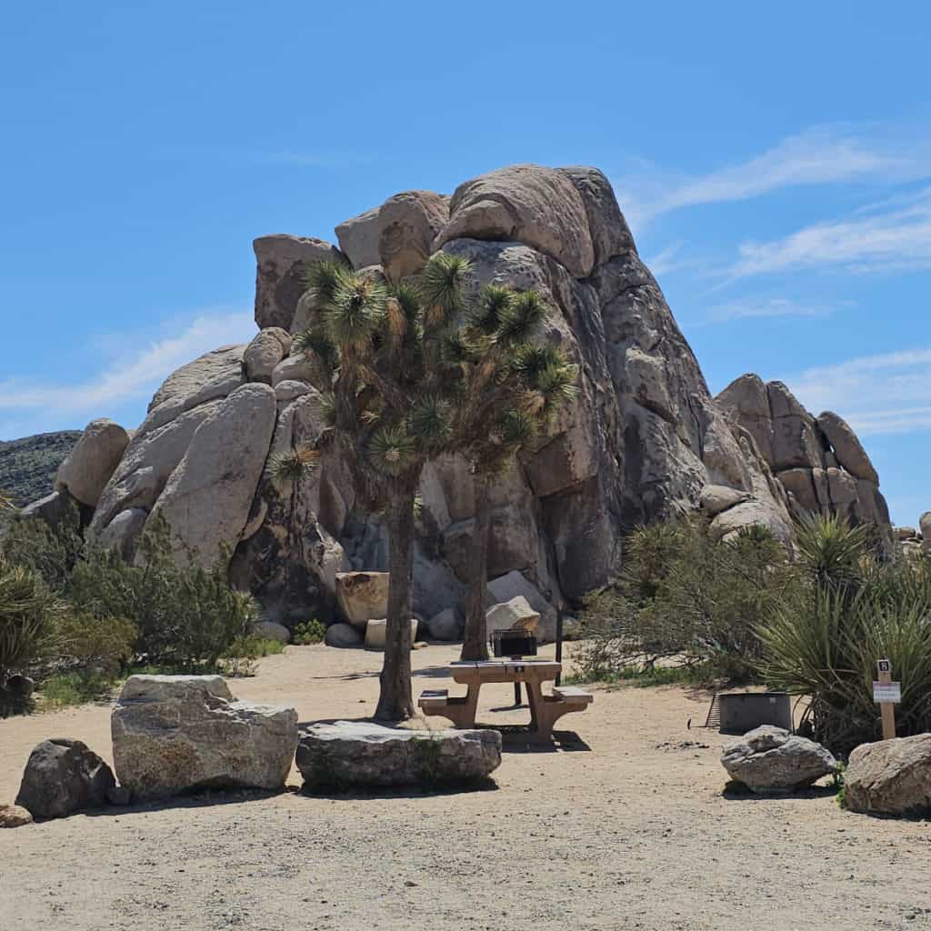 Campsite 8 Ryan Campground Joshua Tree National Park