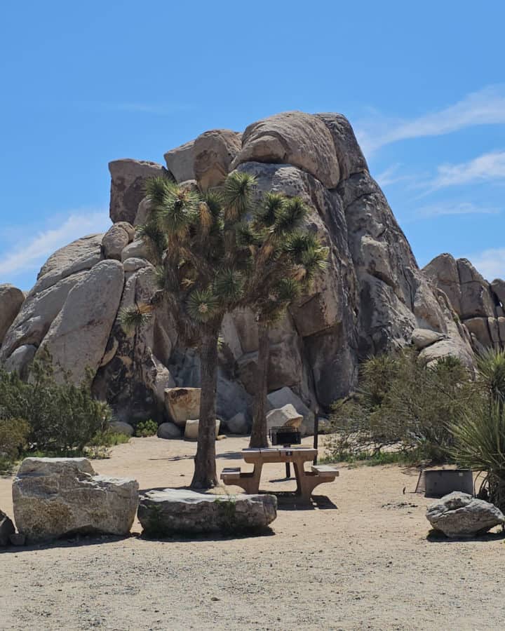 Campsite 8 Ryan Campground Joshua Tree National Park