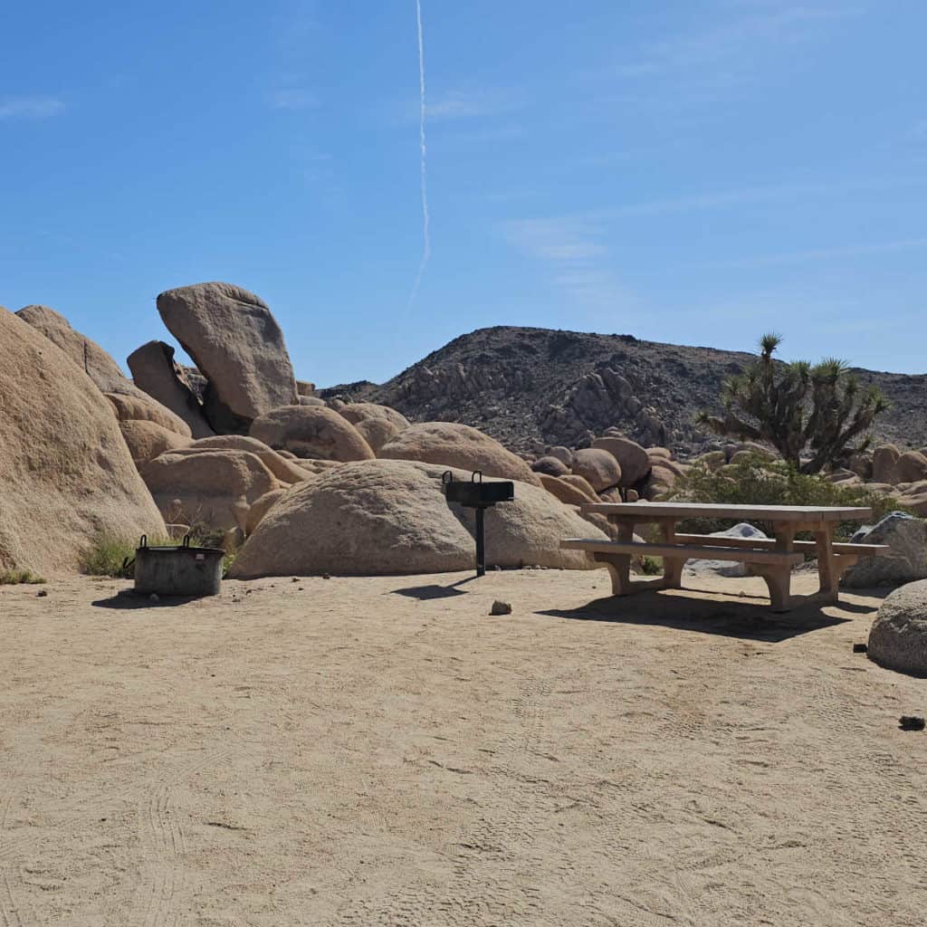 Campsite 8 White Tank Campground in Joshua Tree National Park