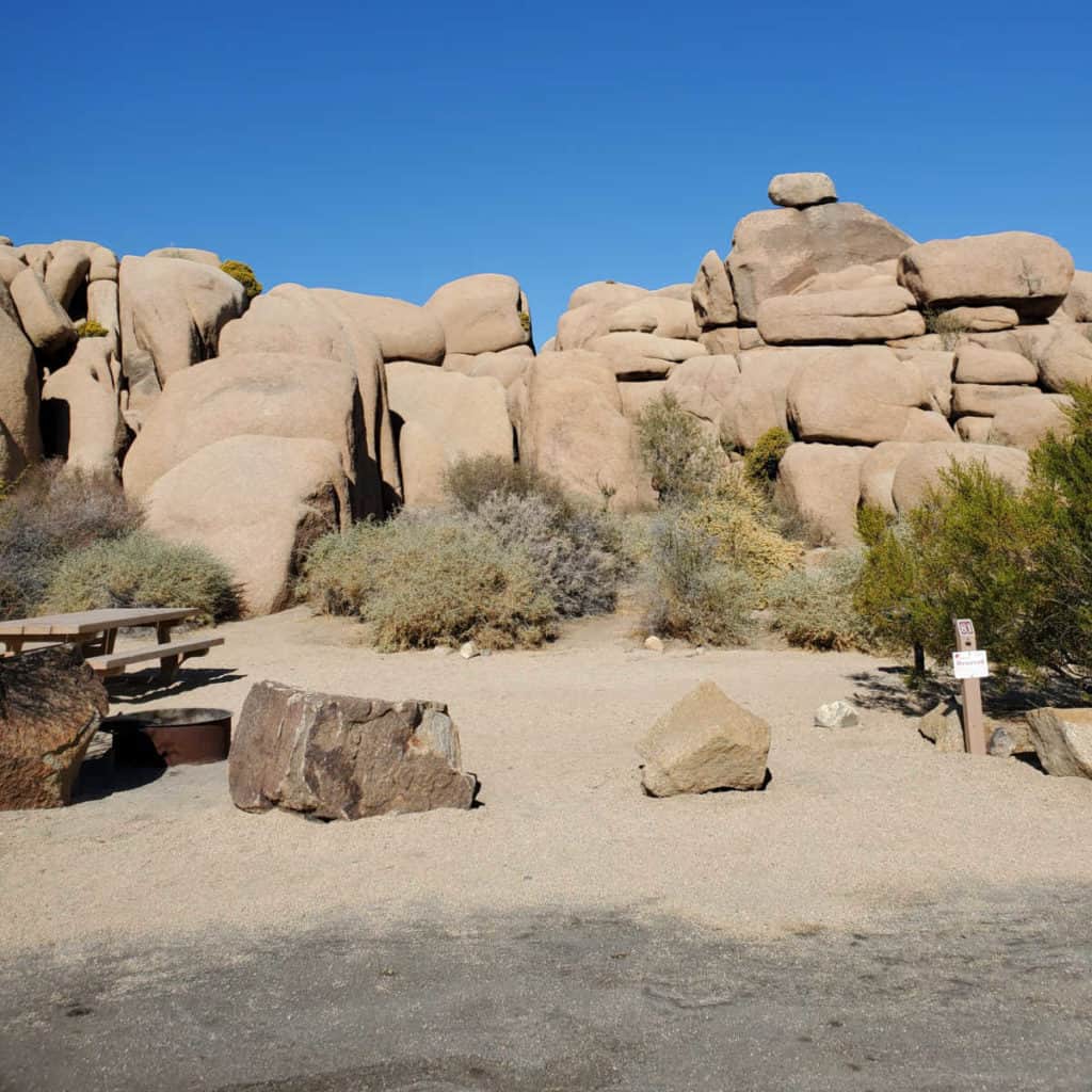 Campsite 81 Jumbo Rocks Campground Joshua Tree National Park