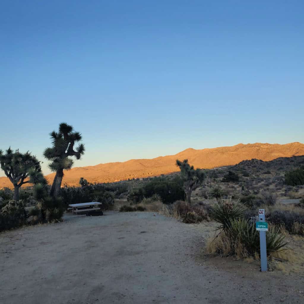 Campsite 93 Black Rock Campground Joshua Tree National Park