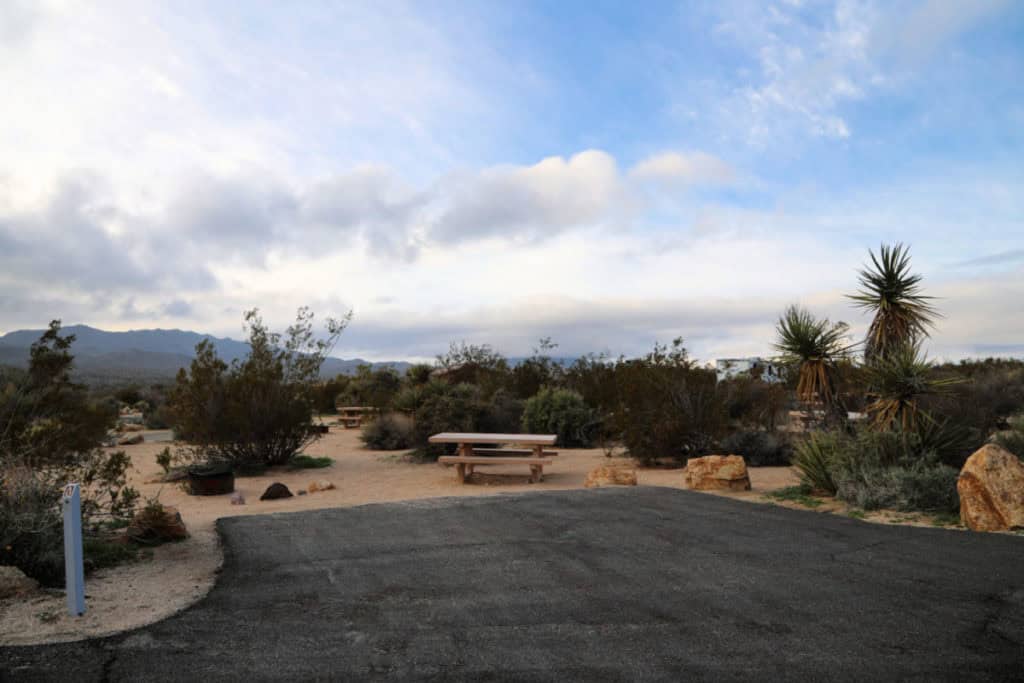 Campsite A12 Cottonwood Campground Joshuua Tree National Park