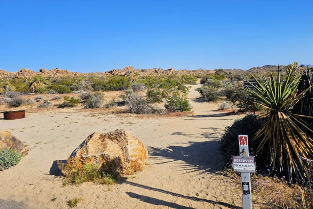 Campsite A13 Cottonwood Campground Joshuua Tree National Park