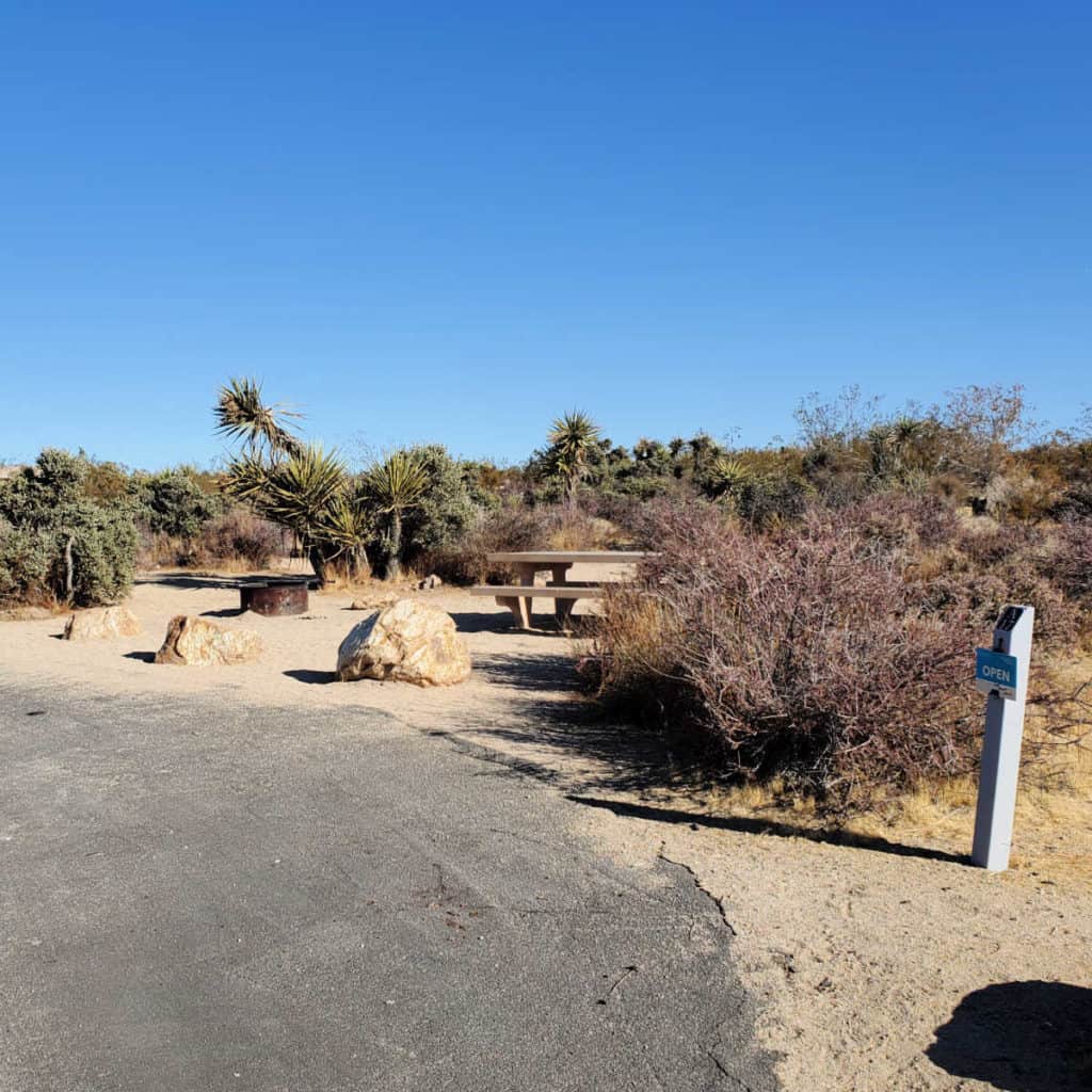 Campsite A17 Cottonwood Campground Joshuua Tree National Park