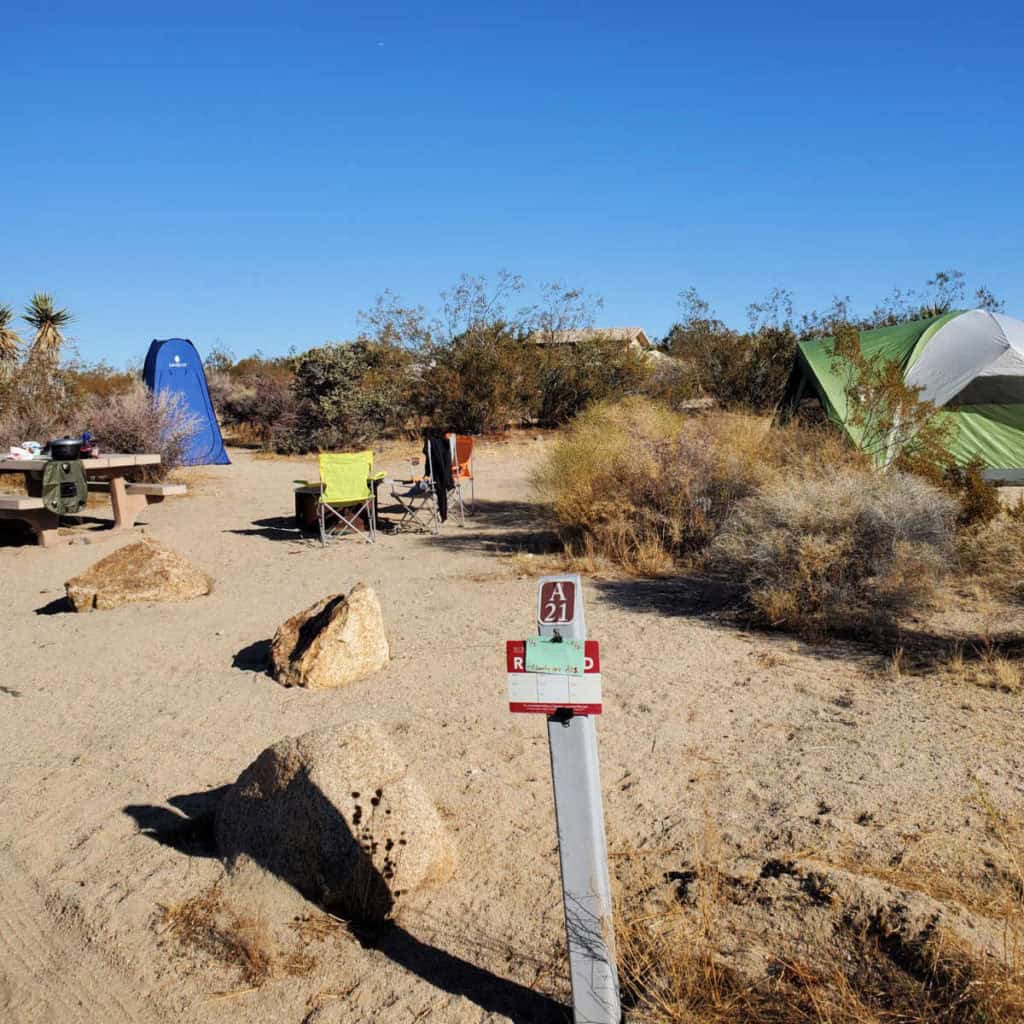 Campsite A21 Cottonwood Campground Joshuua Tree National Park