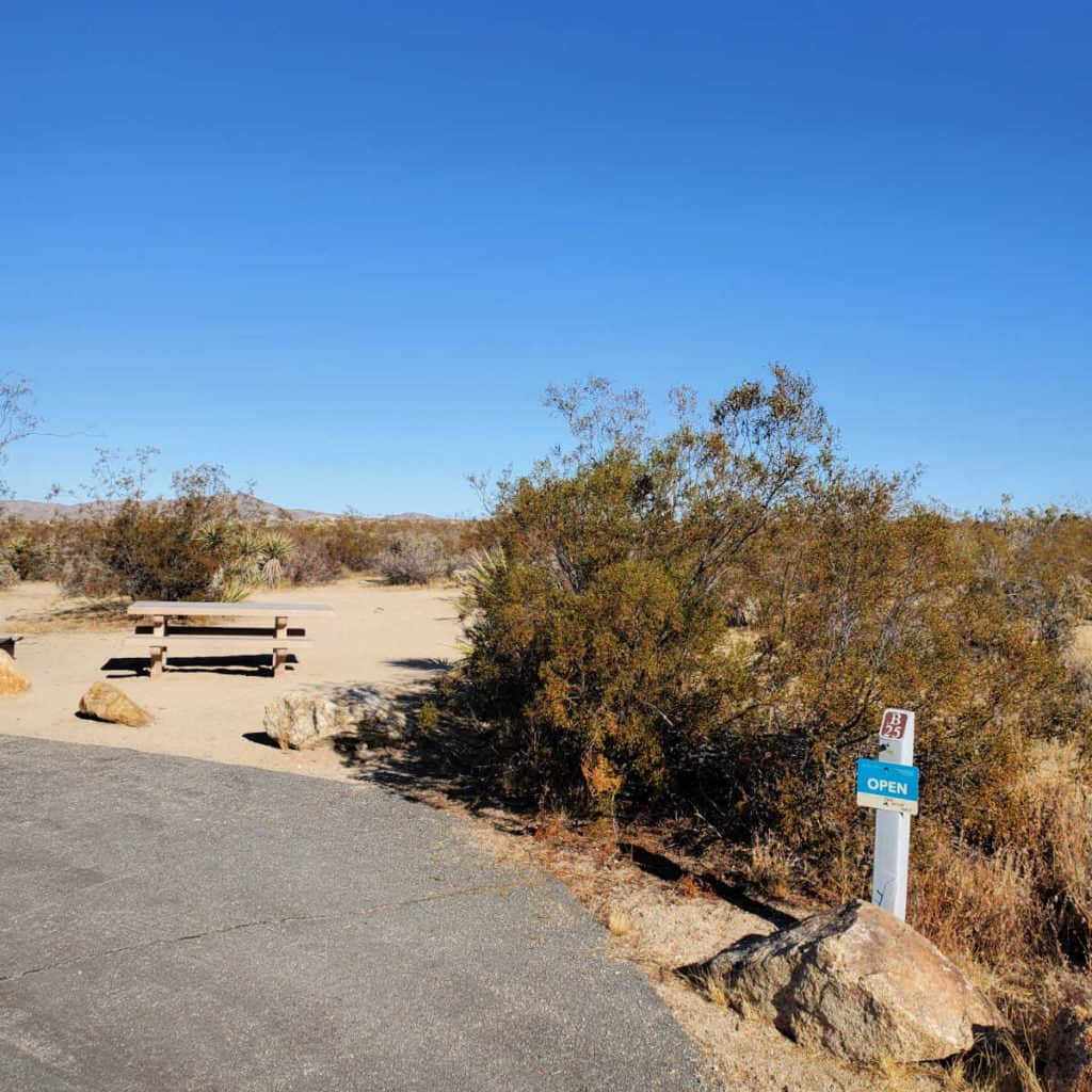 Campsite B25 Cottonwood Campground Joshuua Tree National Park