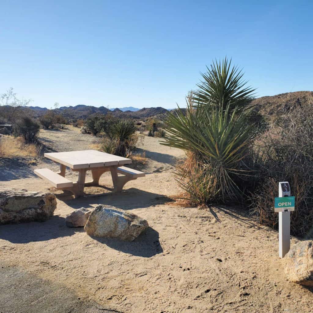 Campsite A3 Cottonwood Campground Joshuua Tree National Park