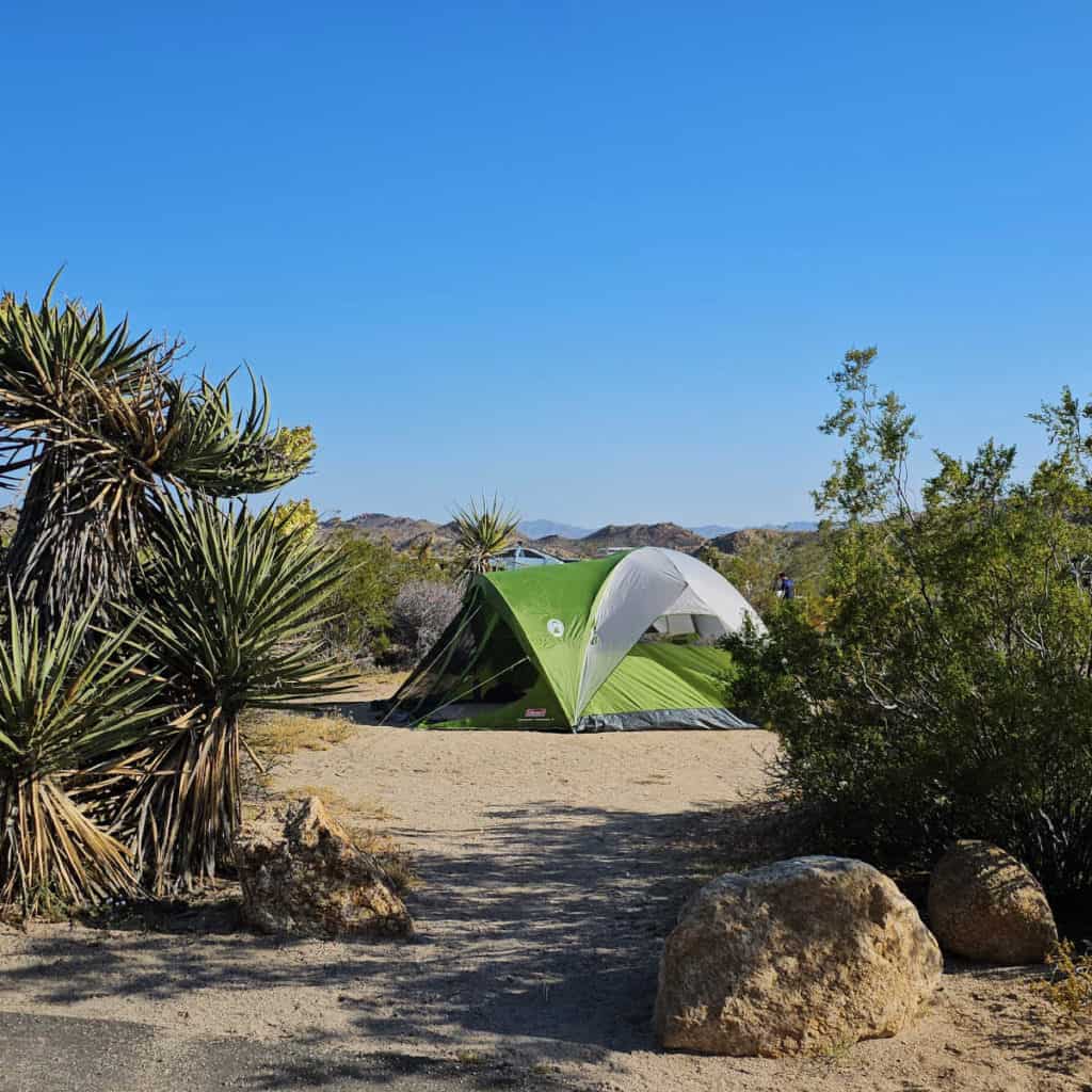 Cottonwood Campground Joshuua Tree National Park