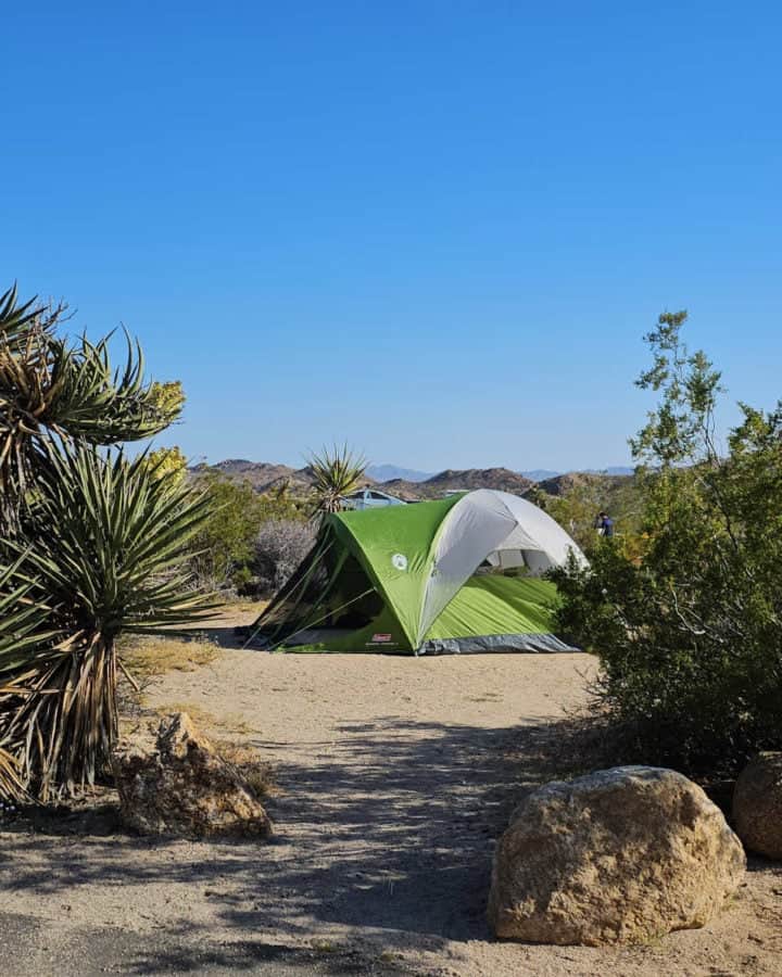 Cottonwood Campground Joshuua Tree National Park