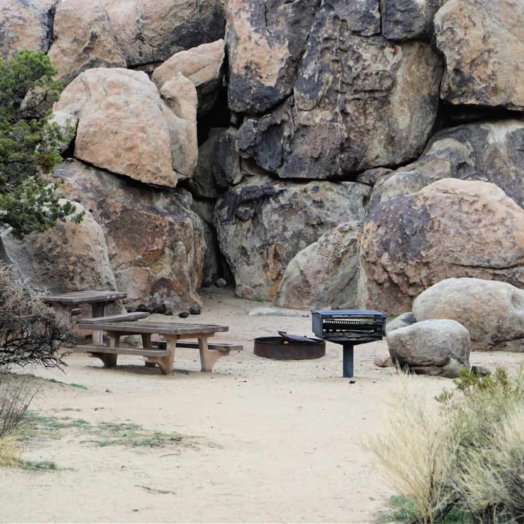 Sheep Pass Campground Joshua Tree National Park CA