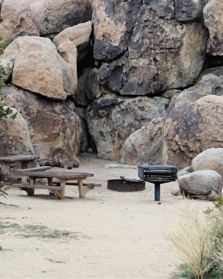 Sheep Pass Campground Joshua Tree National Park CA